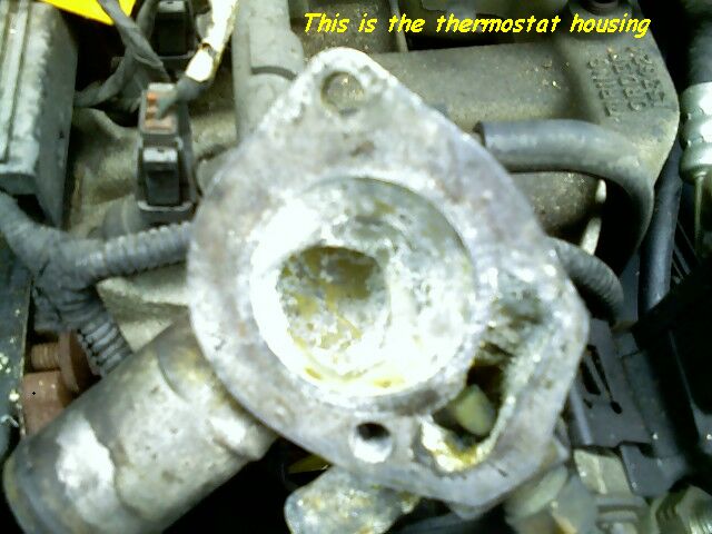 This is the thermostat housing